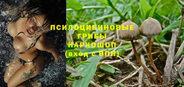 хмурый Покачи