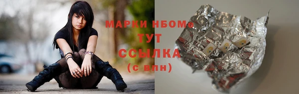 прущий лед Пересвет