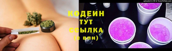 хмурый Покачи