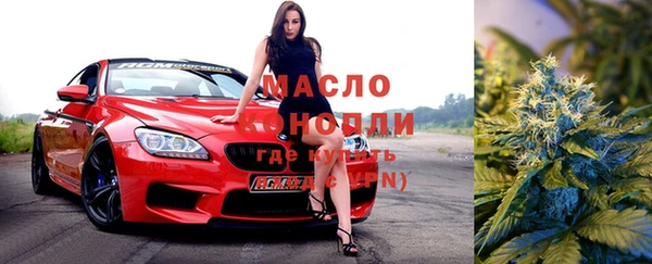 прущий лед Пересвет