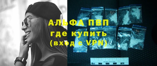 прущий лед Пересвет